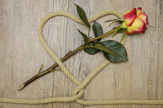 ハートと薔薇