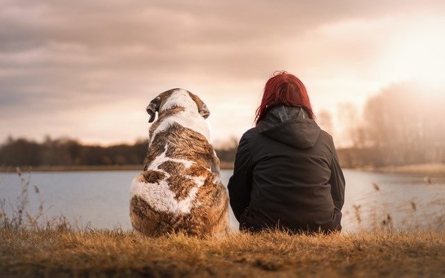 犬と女性が肩を並べている