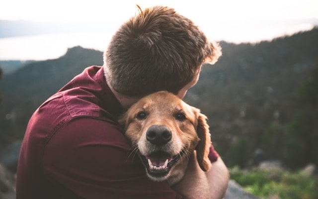 笑顔の犬